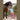 Rijbroek Equitights Check Diva Stella Full Grip