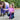 Fliegendecke Mesh Pro Diva Violet