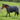 MHS Turnout Blanket Bentley Plus 200gr